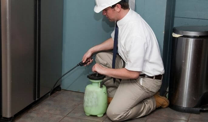 Pest Control & Cleaning Services in Ajman