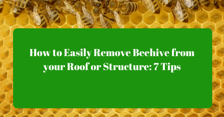 How to Easily Remove Beehive from your Roof or Structure: 7 Tips