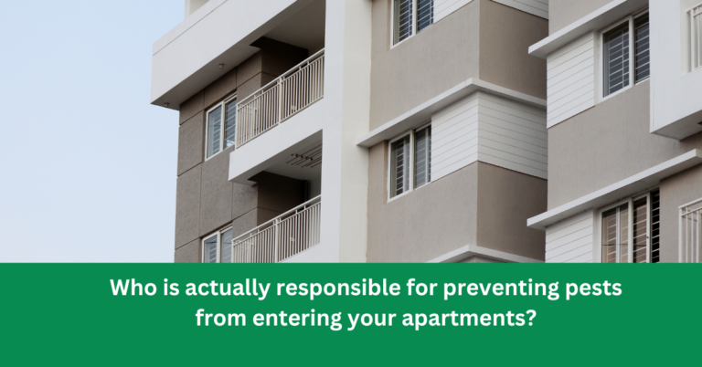 Who is actually responsible for preventing pests from entering your apartments? 