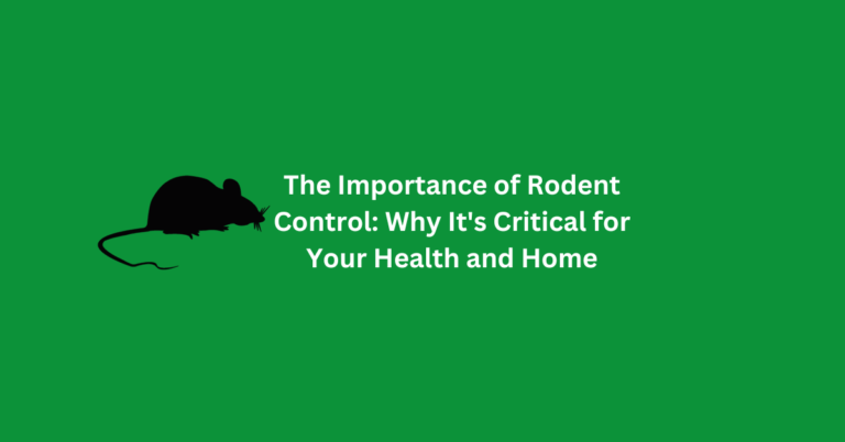 The Importance of Rodent Control: Why It’s Critical for Your Health and Home