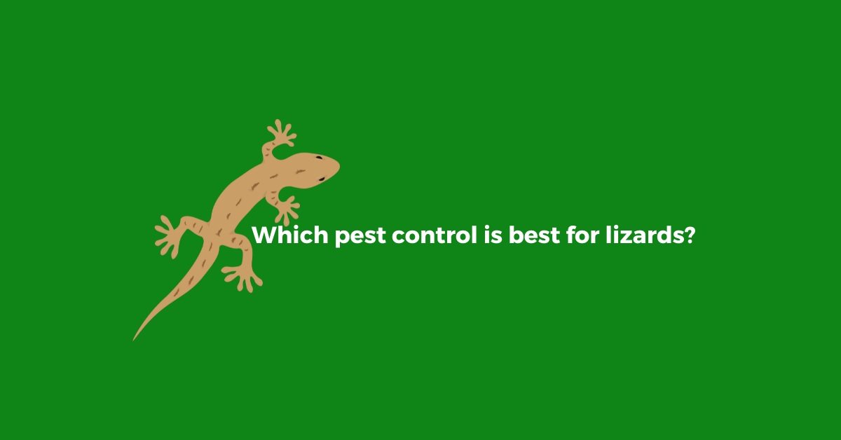 what-kills-lizards-instantly