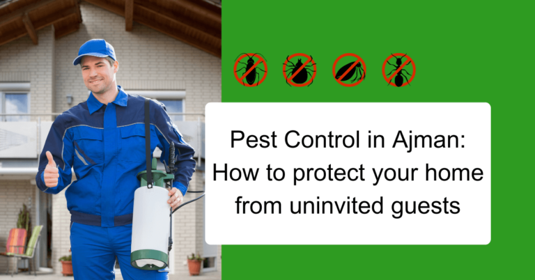 Pest Control in Ajman: How to protect your home from uninvited guests