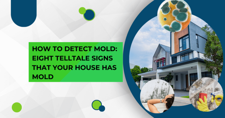 How to detect Mold: Eight Telltale signs that your house Has mold