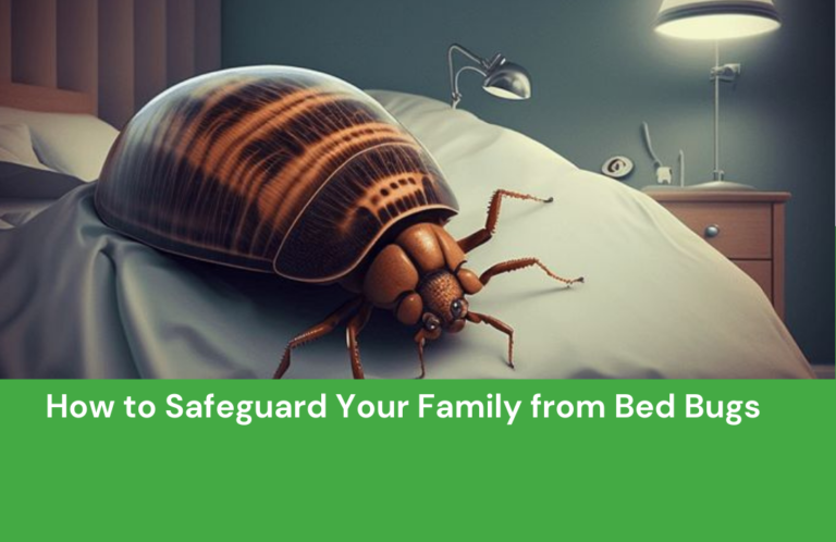 How to Safeguard Your Family from Bed Bugs