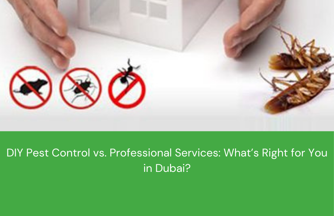 DIY Pest Control vs. Professional Services in Dubai