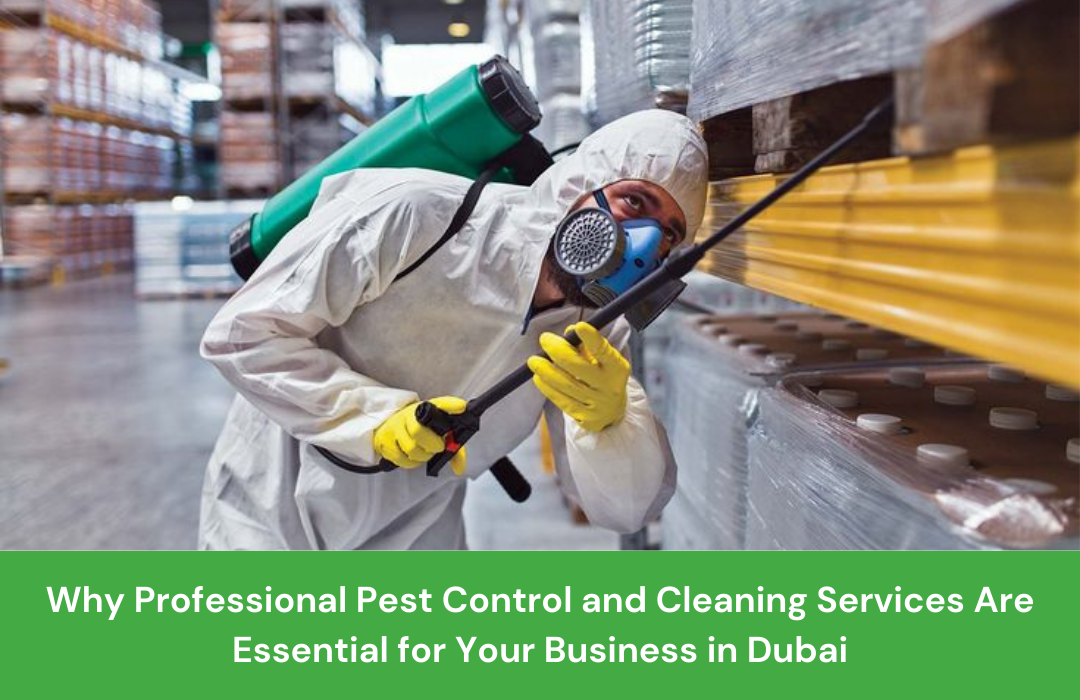 Why Professional Pest Control and Cleaning Services Are Essential for Your Business in Dubai