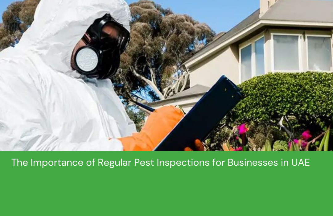 The Importance of Regular Pest Inspections for Businesses in UAE