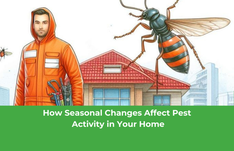 How Seasonal Changes Affect Pest Activity in Your Home