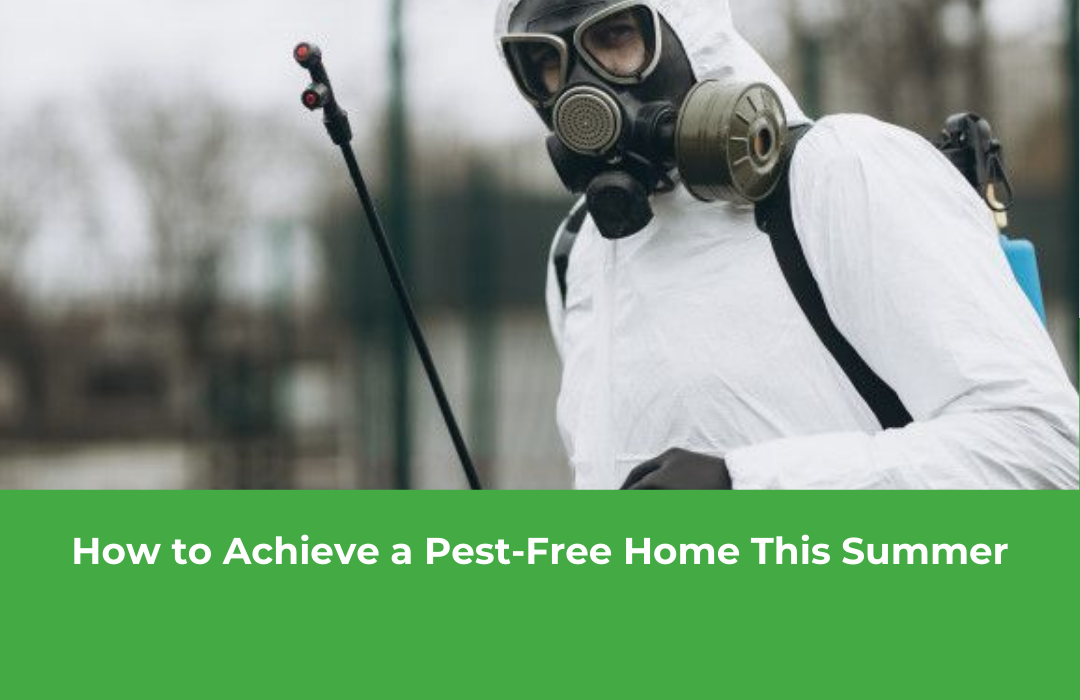 How to Achieve a Pest-Free Home This Summer