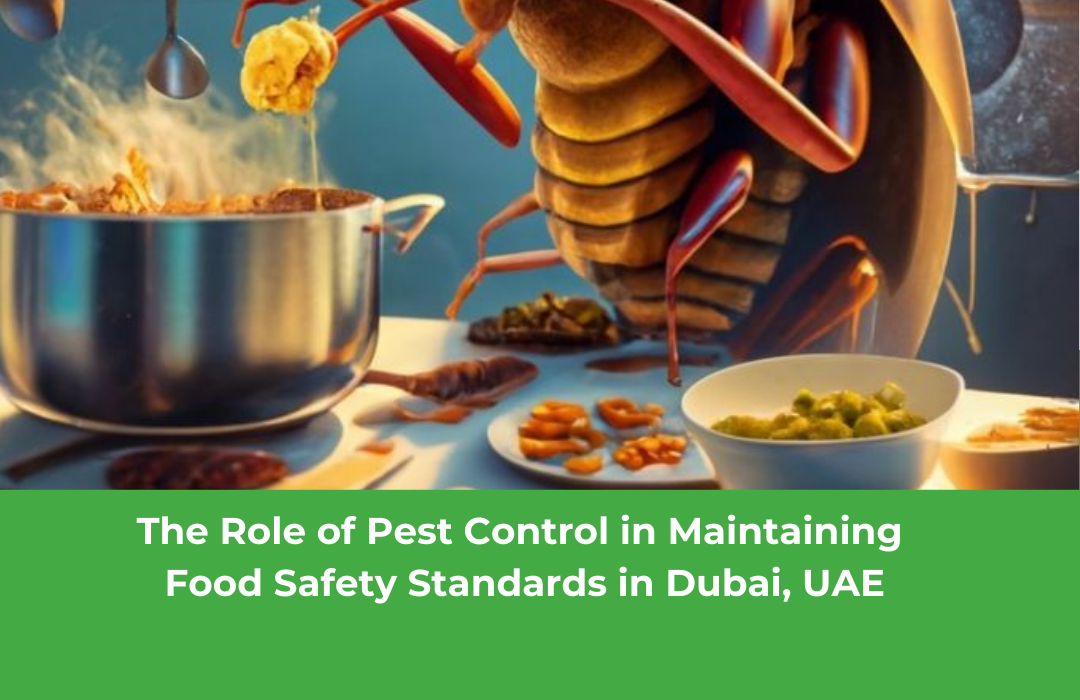 The Role of Pest Control in Maintaining Food Safety Standards in Dubai, UAE