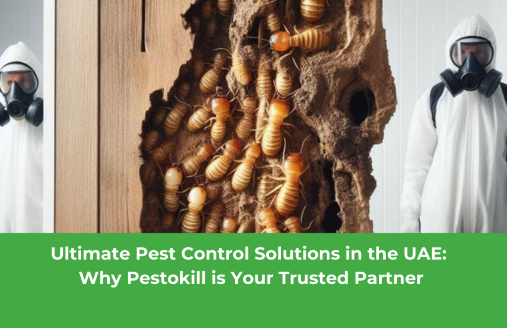 Ultimate Pest Control Solutions in the UAE: Why Pestokill is Your Trusted Partner