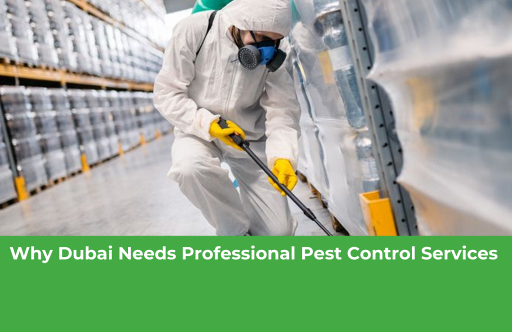 Why-Dubai-Needs-Professional-Pest-Control-Services