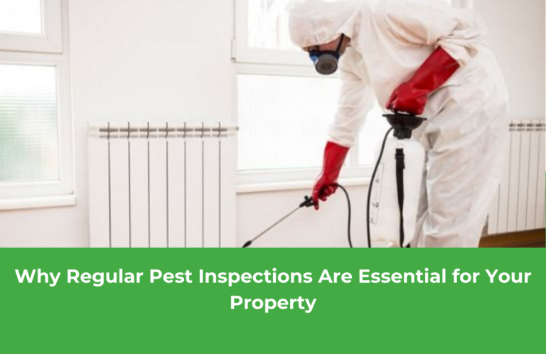 Why Regular Pest Inspections Are Essential for Your Property