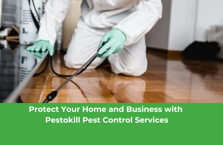 Protect Your Home and Business with Pestokill Pest Control Services