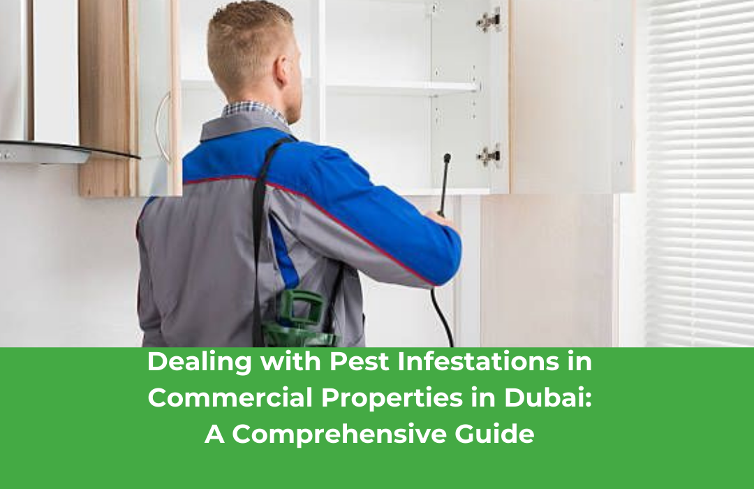 Dealing with Pest Infestations in Commercial Properties in Dubai: A Comprehensive Guide