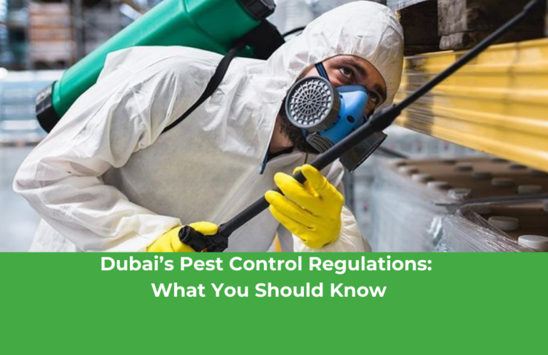 Dubai’s Pest Control Regulations: What You Should Know