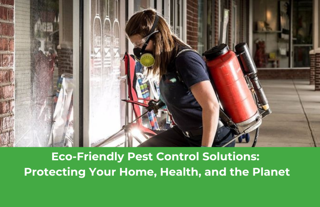 Eco-Friendly Pest Control Solutions: Protecting Your Home, Health, and the Planet