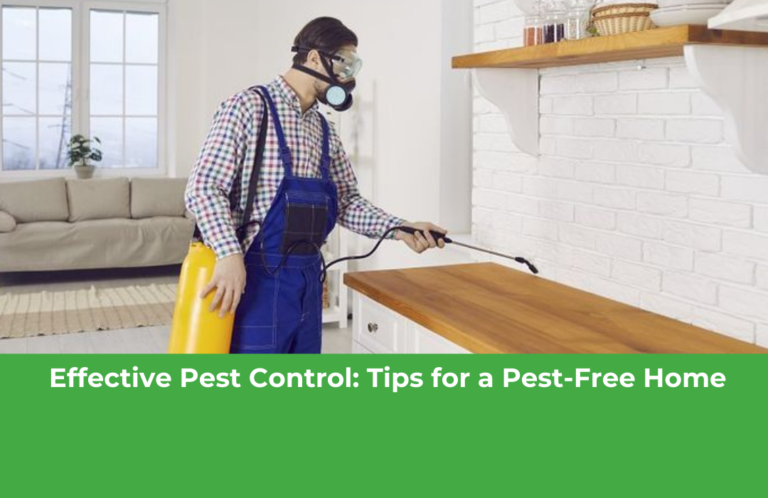 Effective Pest Control: Tips for a Pest-Free Home