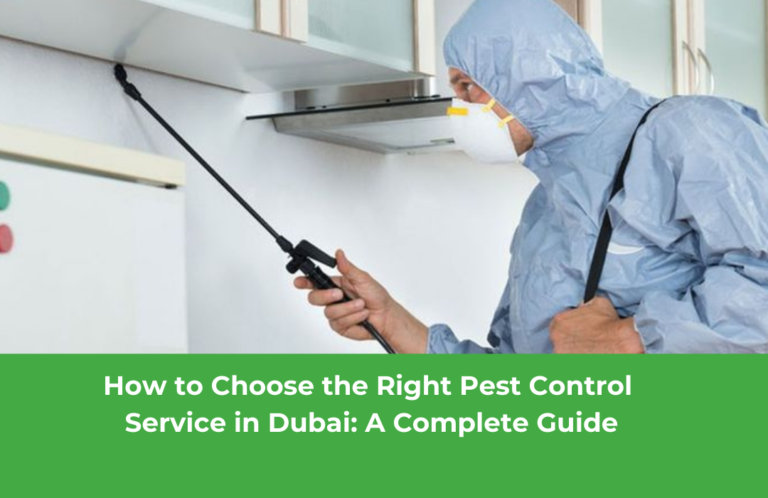 How to Choose the Right Pest Control Service in Dubai: A Complete Guide