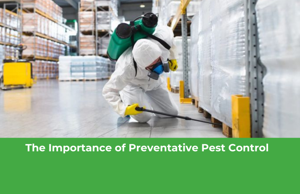 The Importance of Preventative Pest Control