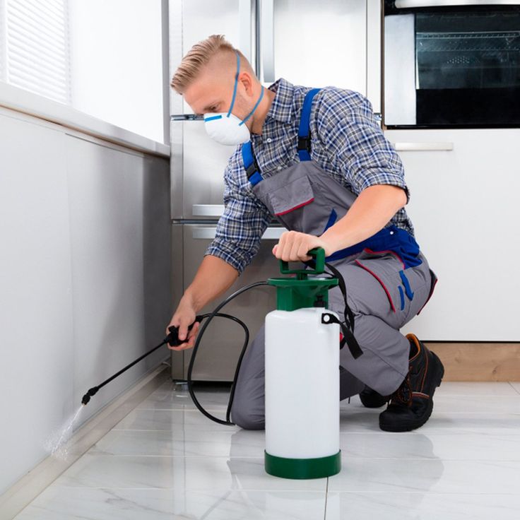 How to Choose the Best Pest Control Service in Dubai: A Complete Guide