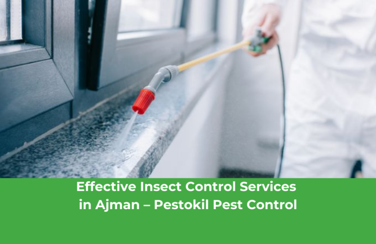 Effective-Insect-Control-Services-in-Ajman-–-Pestokil-Pest-Control