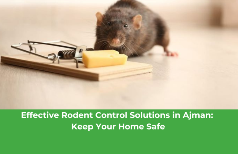 Effective Rodent Control Solutions in Ajman: Keep Your Home Safe