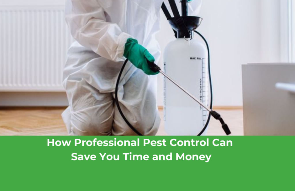 How Professional Pest Control Can Save You Time and Money