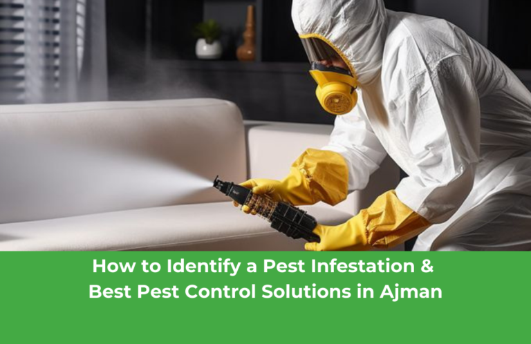 How-to-Identify-a-Pest-Infestation-Best-Pest-Control-Solutions-in-Ajman