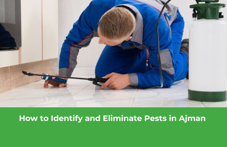 How to Identify and Eliminate Pests in Ajman