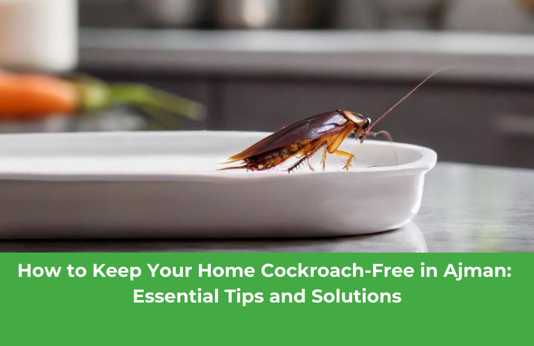 How to Keep Your Home Cockroach-Free in Ajman: Essential Tips and Solutions