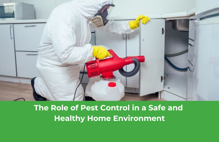 The Role of Pest Control in a Safe and Healthy Home Environment