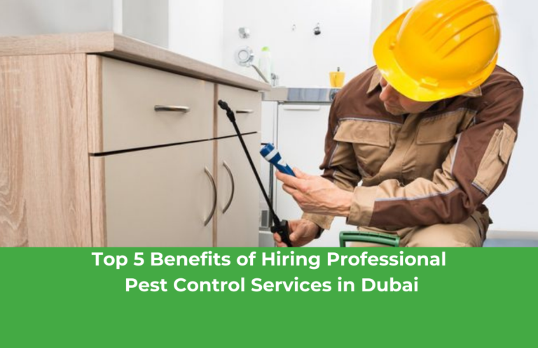 Top 5 Benefits of Hiring Professional Pest Control Services in Dubai