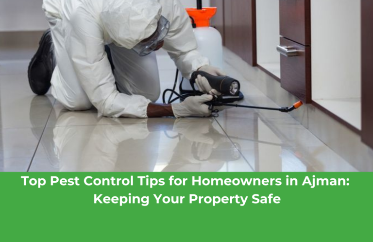 Top Pest Control Tips for Homeowners in Ajman: Keeping Your Property Safe