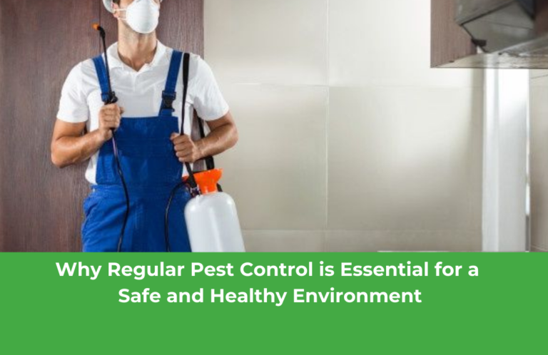 Why Regular Pest Control is Essential for a Safe and Healthy Environment