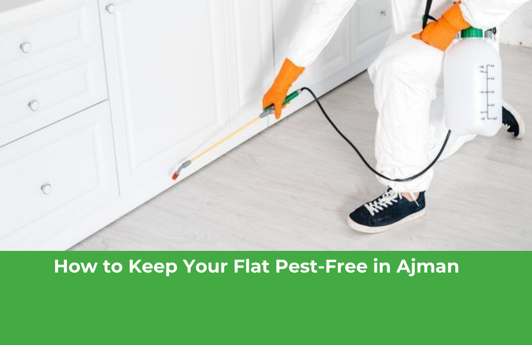 How to Keep Your Flat Pest-Free in Ajman